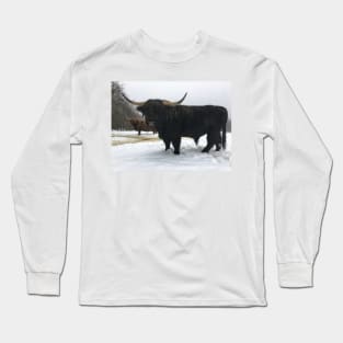Scottish Highland Cattle Bull 2211 Long Sleeve T-Shirt
